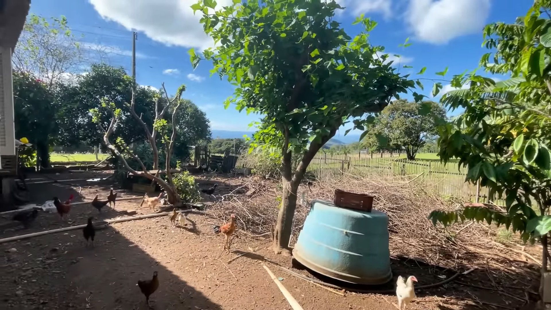 Chácara de 1.500 m² em Taquara, RS