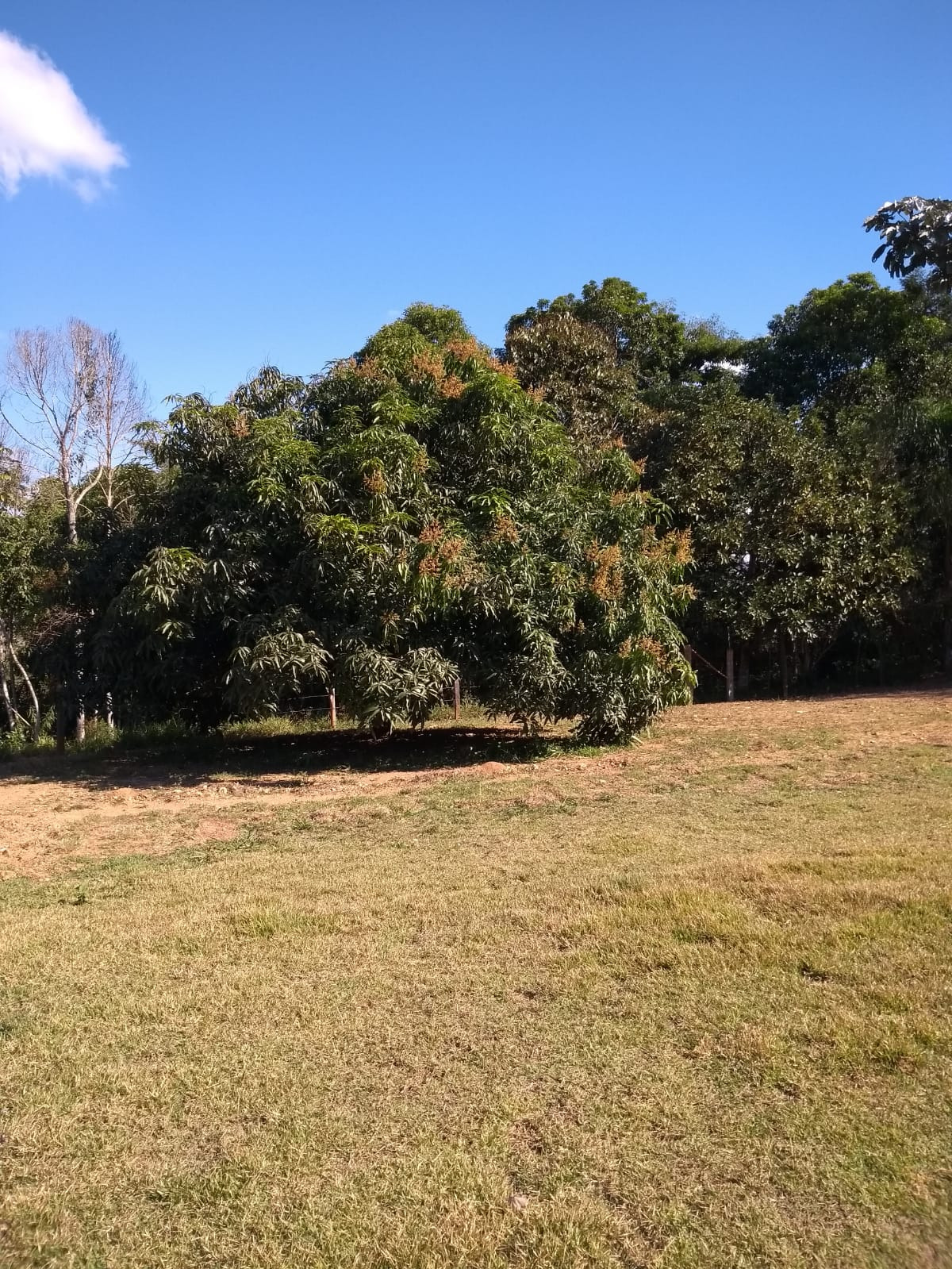 Chácara de 2 ha em São José dos Campos, SP