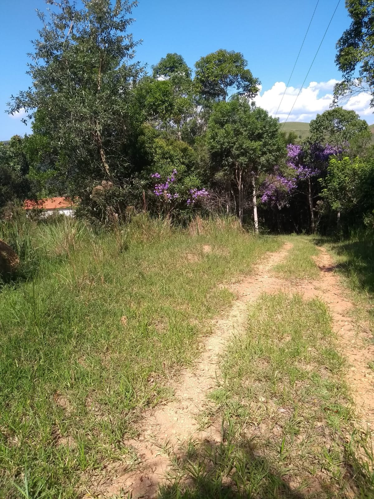 Chácara de 2 ha em São José dos Campos, SP