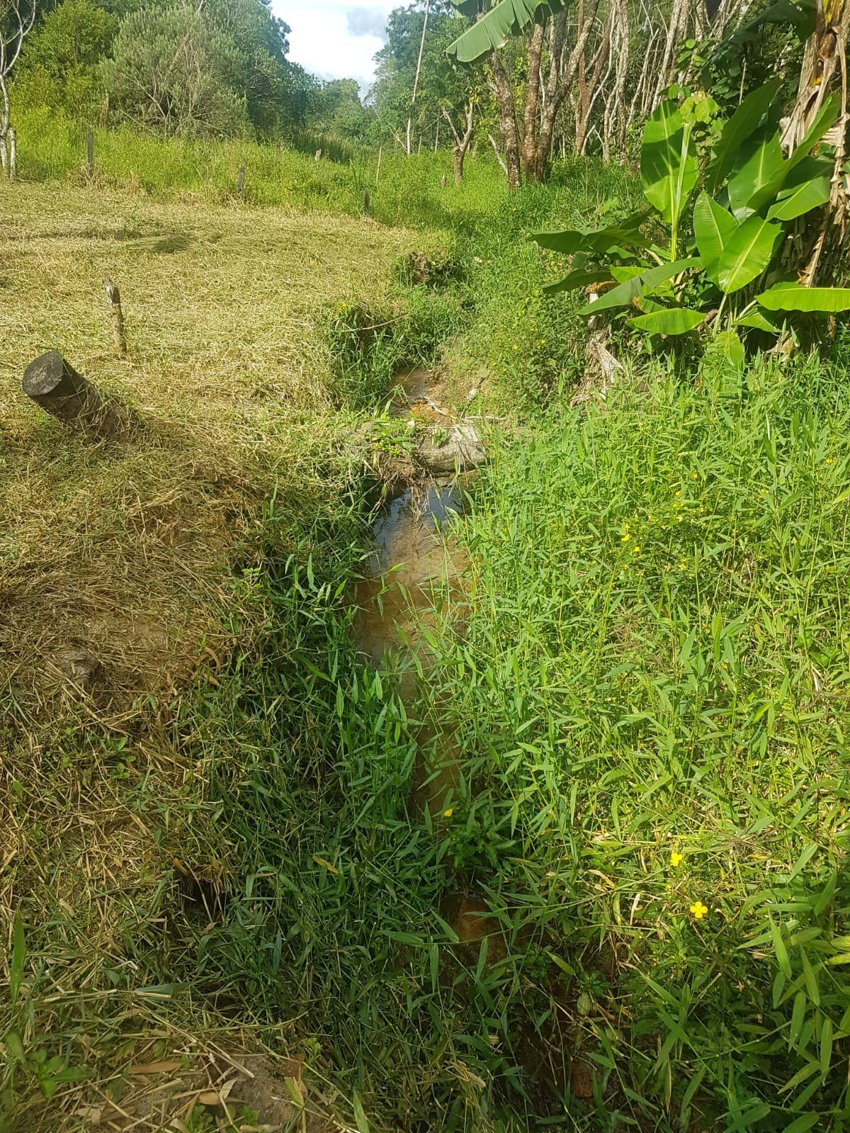 Chácara de 2.000 m² em São José dos Campos, SP