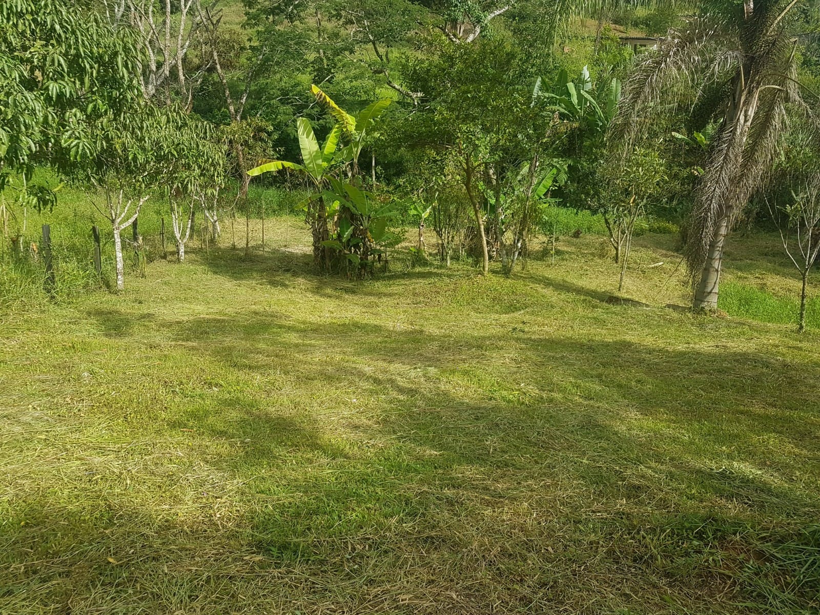 Chácara de 2.000 m² em São José dos Campos, SP