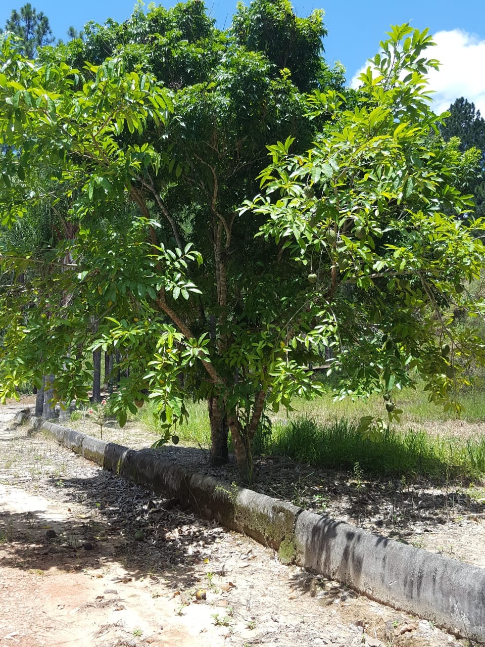 Sítio de 19 ha em São José dos Campos, SP