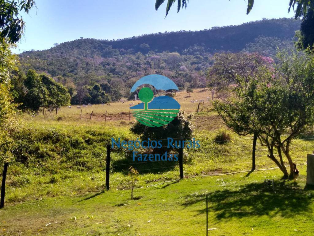 Fazenda de 72 ha em Pirenópolis, GO