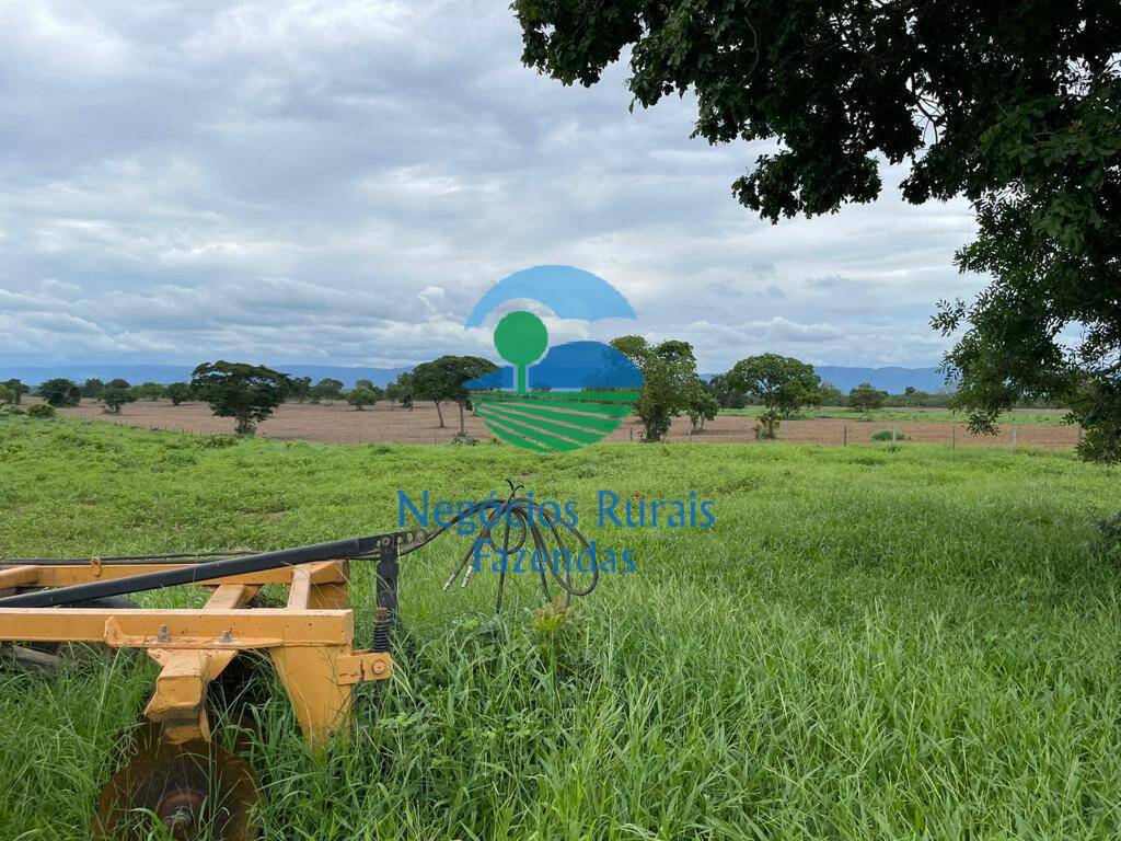 Fazenda de 1.742 ha em Flores de Goiás, GO