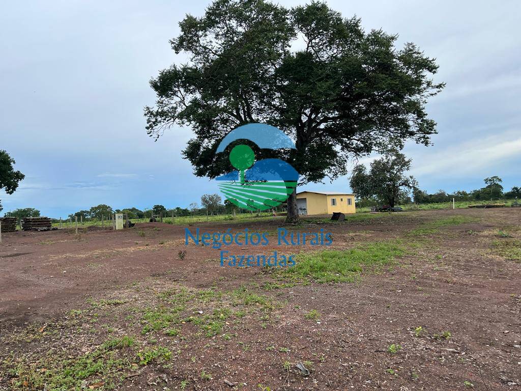 Fazenda de 1.742 ha em Flores de Goiás, GO