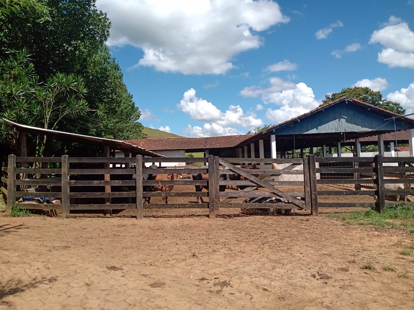 Fazenda de 242 ha em Canas, SP