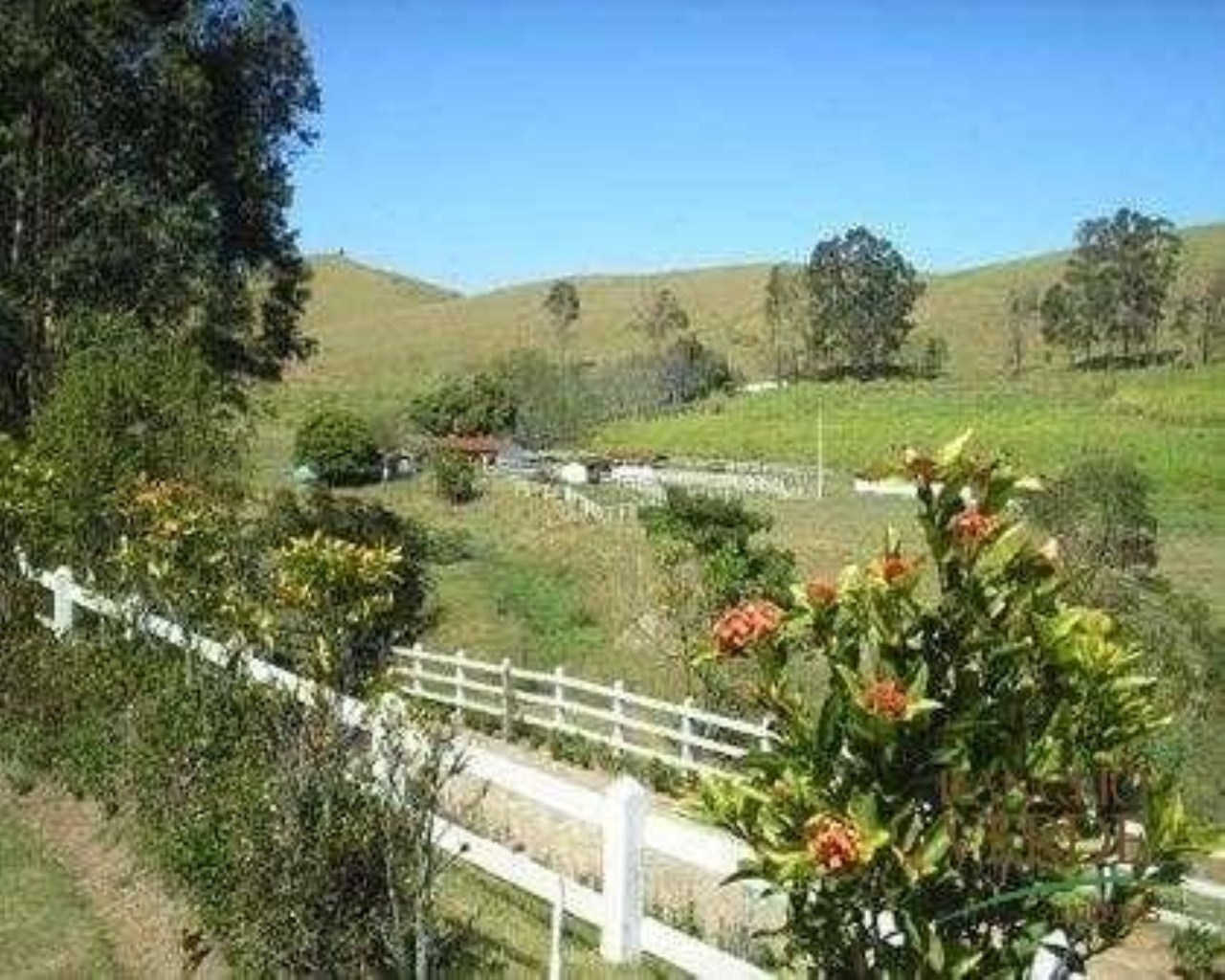 Fazenda de 242 ha em Canas, SP