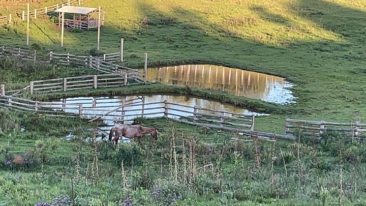 Chácara de 6 ha em Taquara, RS