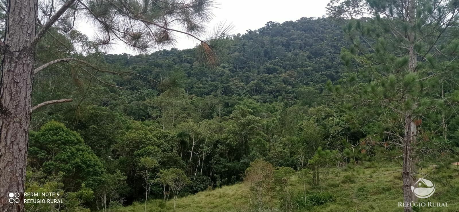 Fazenda de 193 ha em São José dos Campos, SP