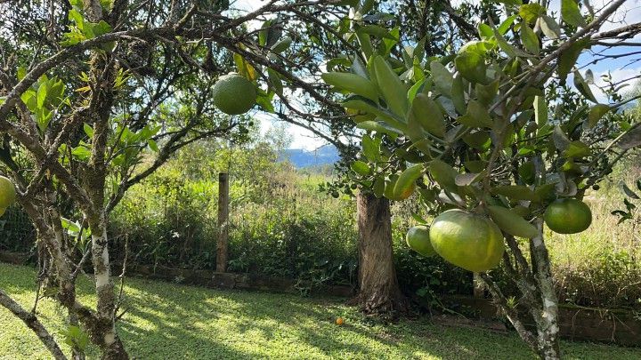 Chácara de 3 ha em Rolante, RS