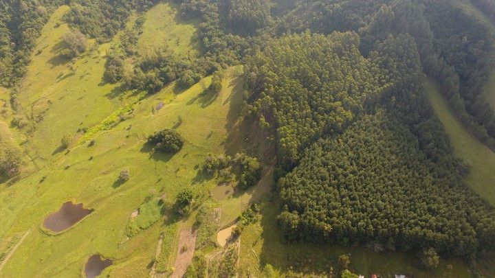 Chácara de 3 ha em Rolante, RS