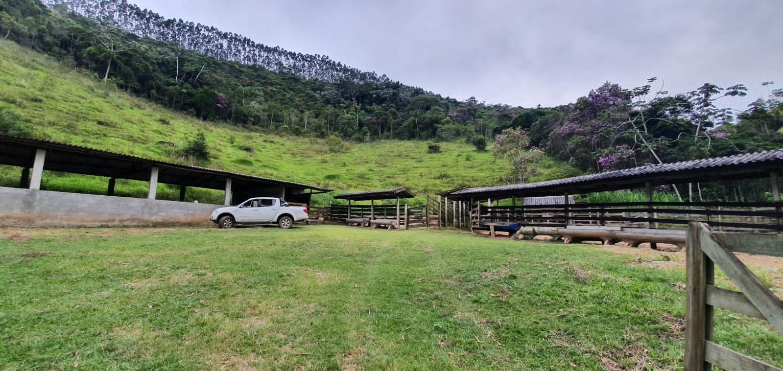 Fazenda de 339 ha em Natividade da Serra, SP