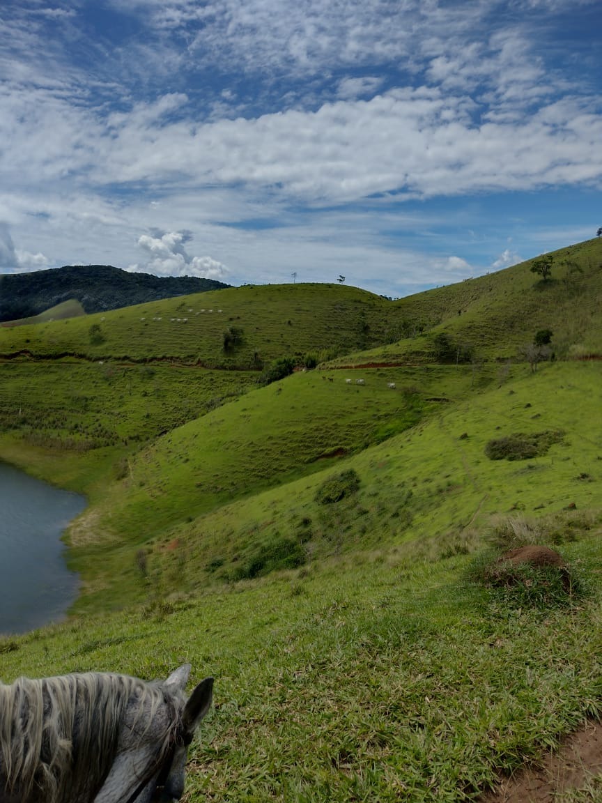 Fazenda de 339 ha em Natividade da Serra, SP