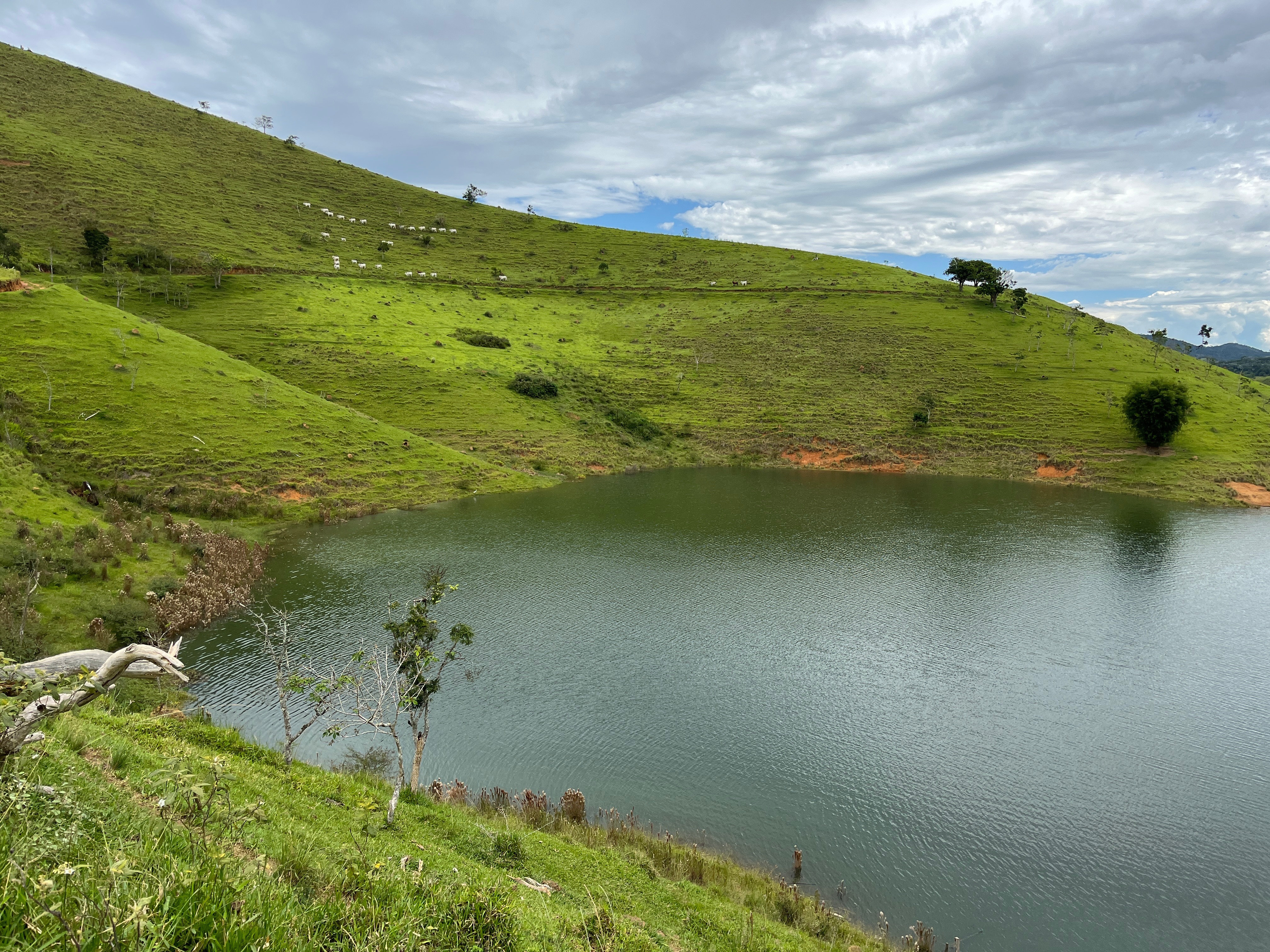 Fazenda de 339 ha em Natividade da Serra, SP