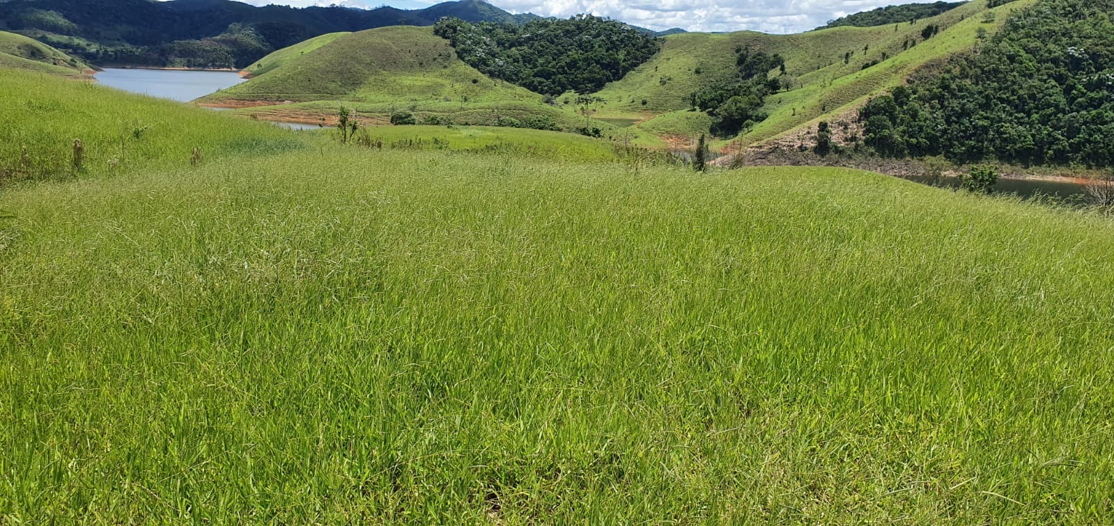 Fazenda de 339 ha em Natividade da Serra, SP