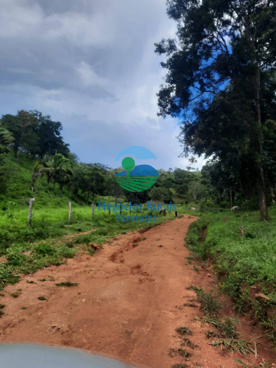 Fazenda de 401 ha em Mimoso de Goiás, GO