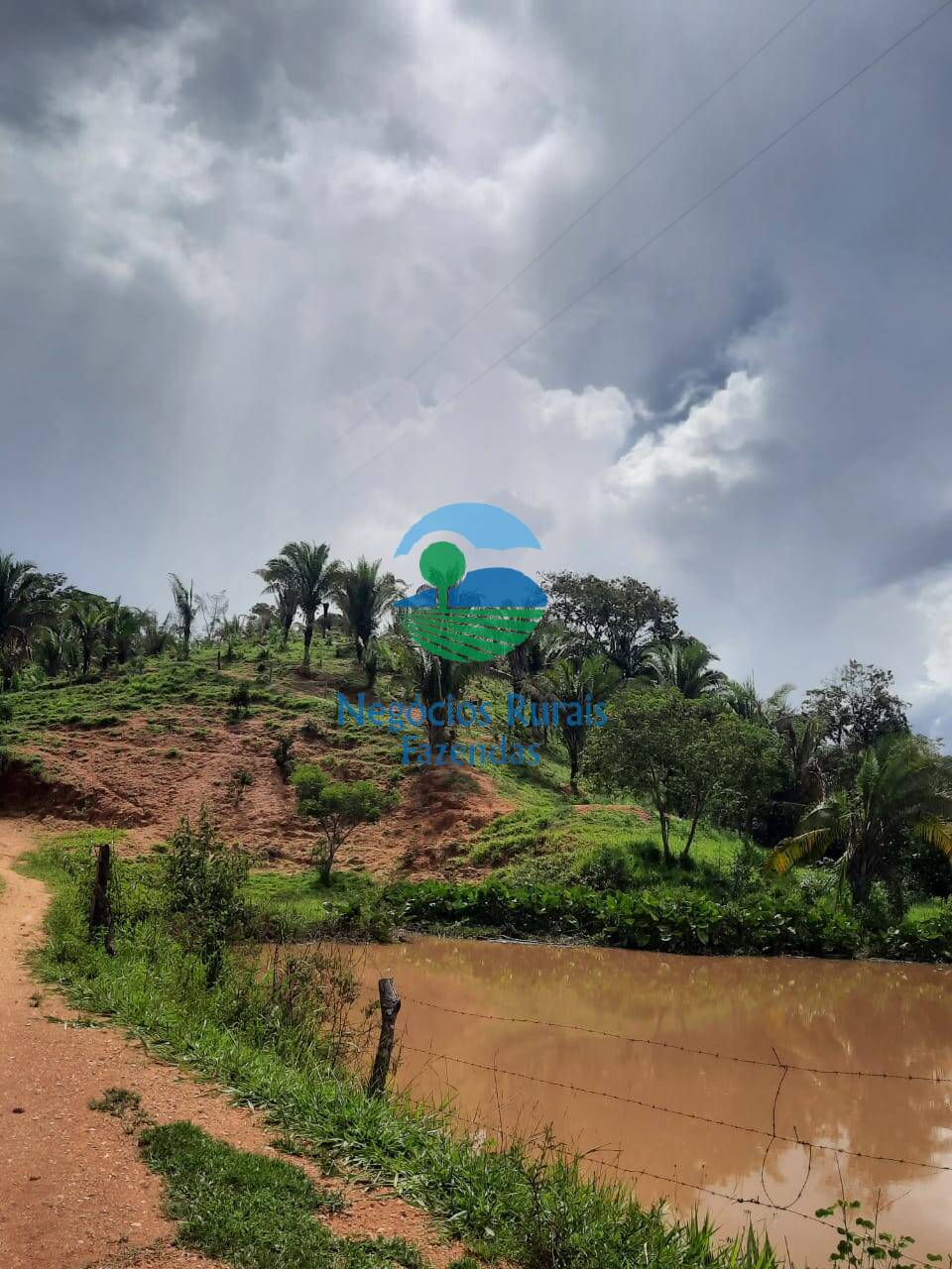 Fazenda de 401 ha em Mimoso de Goiás, GO