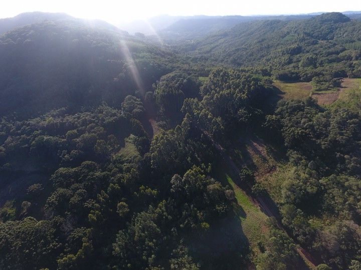 Chácara de 18 ha em Sapiranga, RS