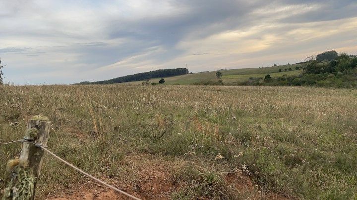 Terreno de 2 ha em Viamão, RS