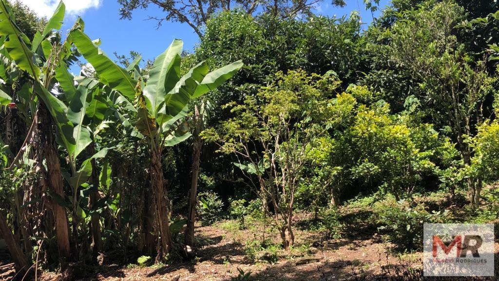 Sítio de 4.000 m² em Camanducaia, MG