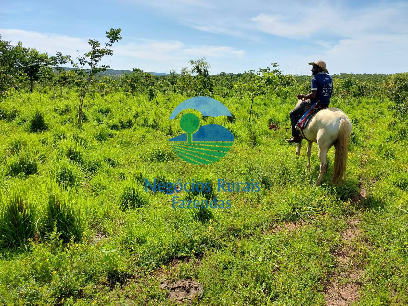 Fazenda de 638 ha em Paranã, TO