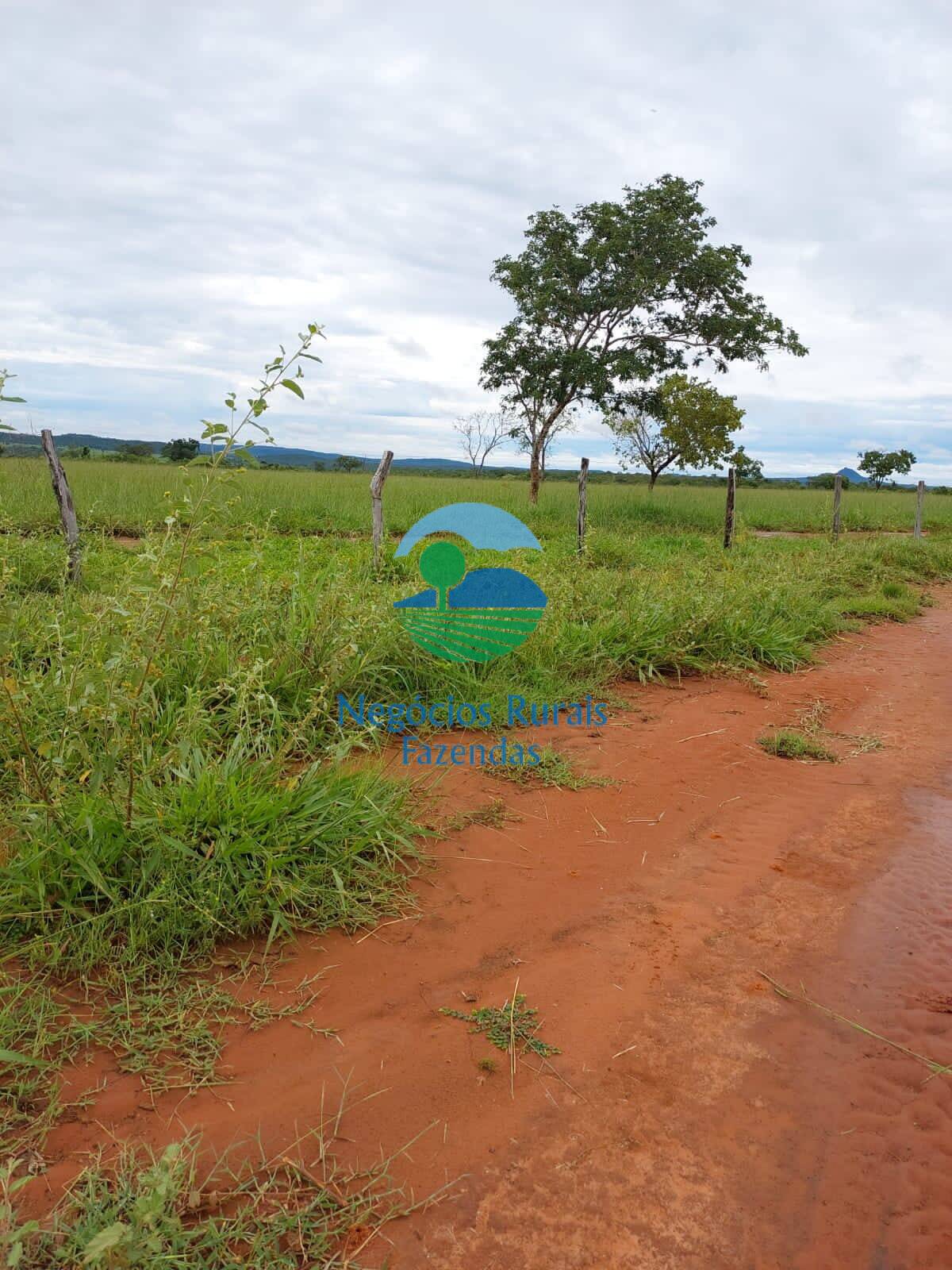 Fazenda de 638 ha em Paranã, TO