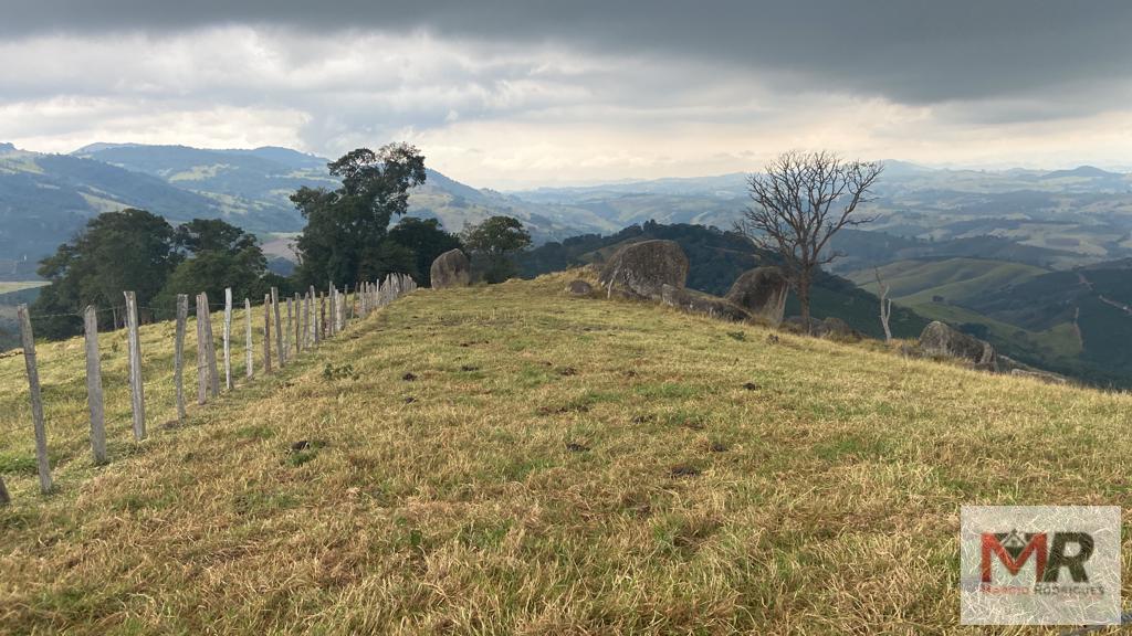 Fazenda de 43 ha em Ouro Fino, MG