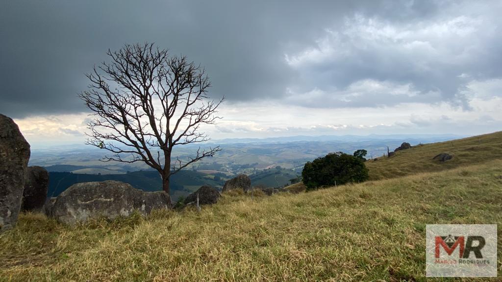 Fazenda de 43 ha em Ouro Fino, MG