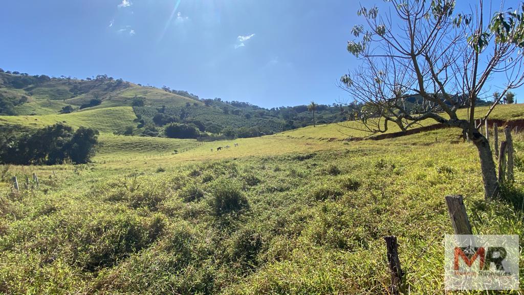 Fazenda de 43 ha em Ouro Fino, MG