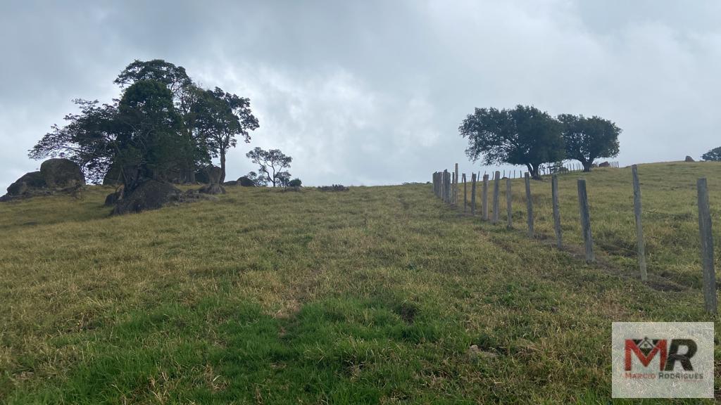 Fazenda de 43 ha em Ouro Fino, MG