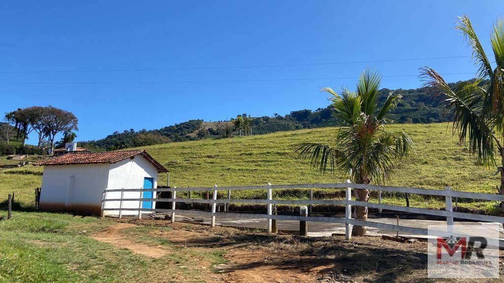 Fazenda de 43 ha em Ouro Fino, MG