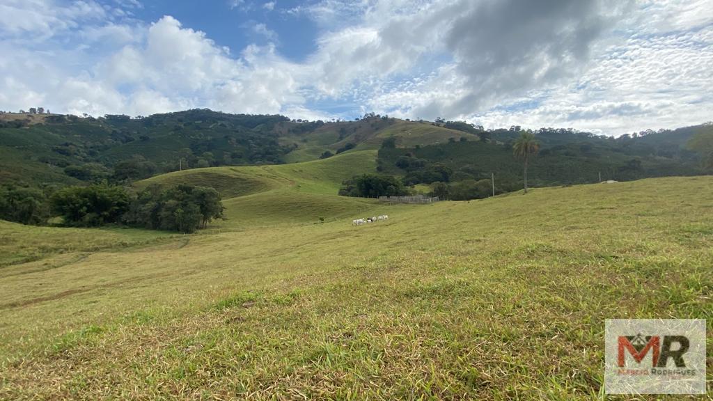 Fazenda de 43 ha em Ouro Fino, MG