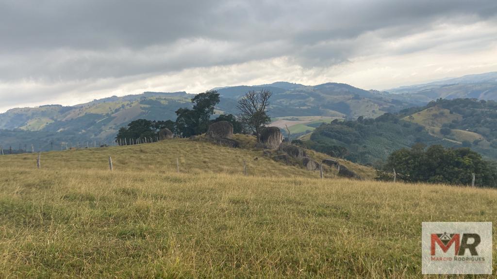 Fazenda de 43 ha em Ouro Fino, MG