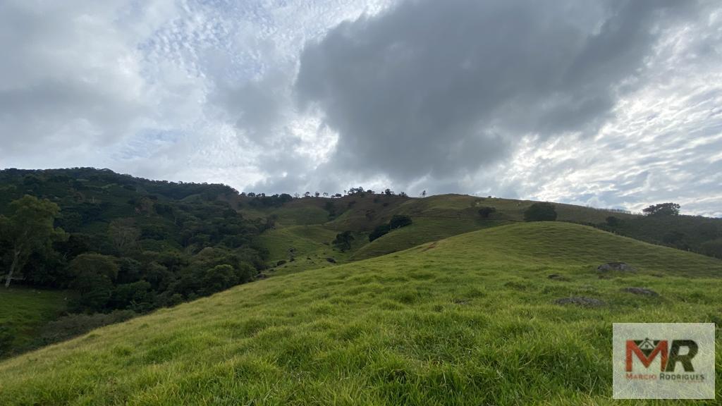 Fazenda de 43 ha em Ouro Fino, MG