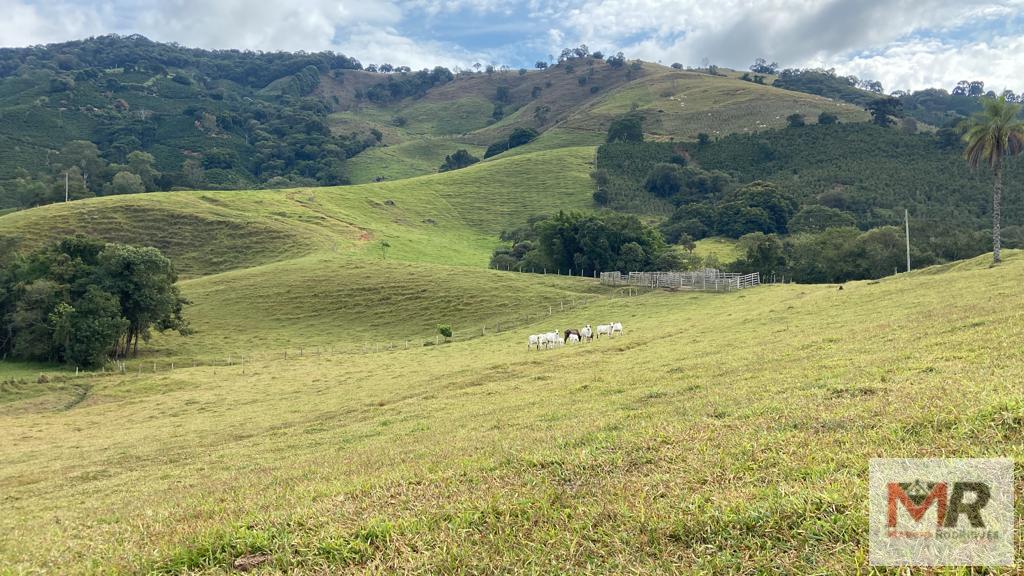 Fazenda de 43 ha em Ouro Fino, MG