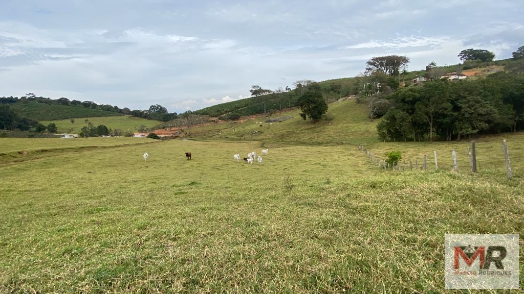 Fazenda de 43 ha em Ouro Fino, MG