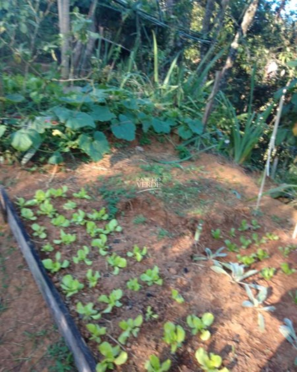 Chácara de 2 ha em Monteiro Lobato, SP