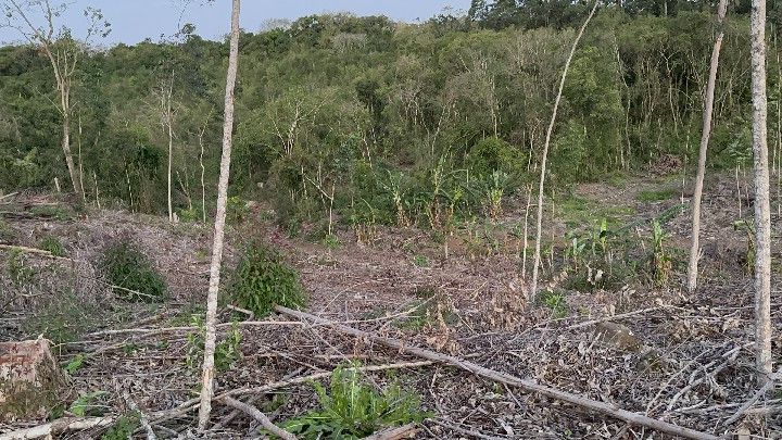 Chácara de 4 ha em Caraá, RS