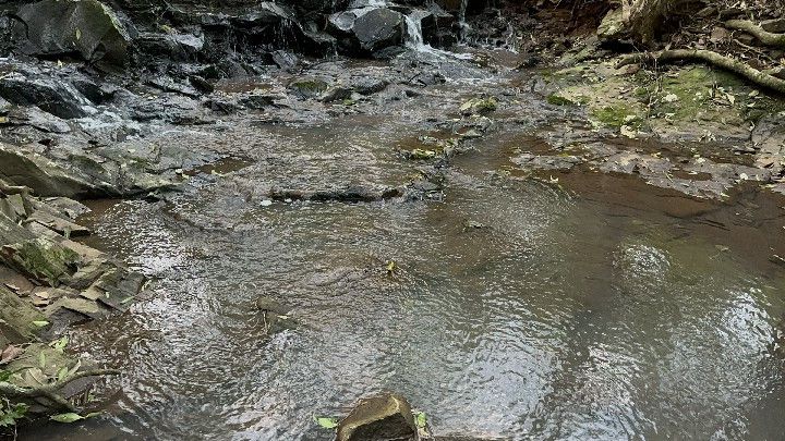 Chácara de 4 ha em Caraá, RS