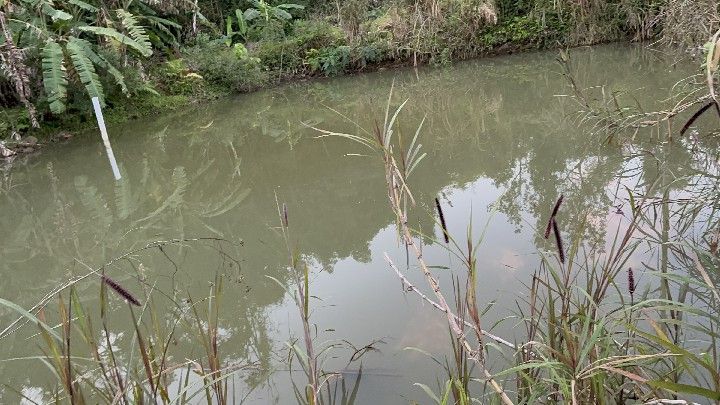 Chácara de 4 ha em Caraá, RS