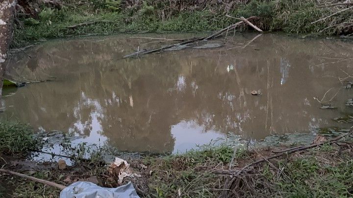 Chácara de 4 ha em Caraá, RS