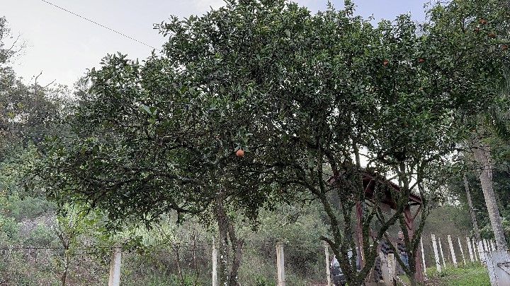 Chácara de 4 ha em Caraá, RS