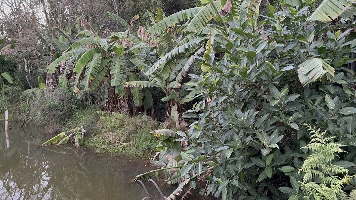 Chácara de 4 ha em Caraá, RS