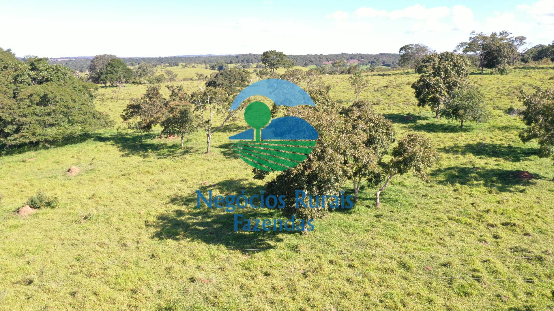 Fazenda de 96 ha em Hidrolândia, GO