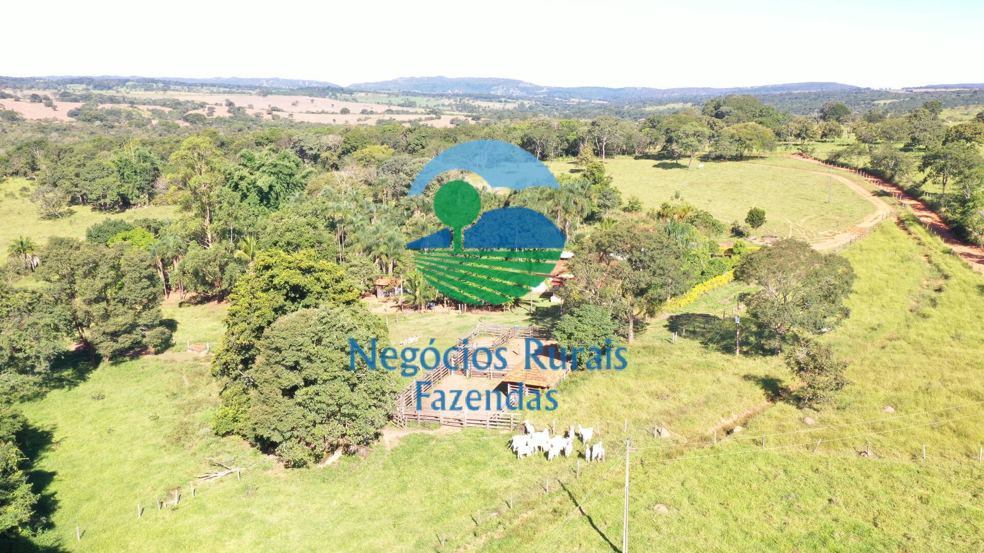 Fazenda de 96 ha em Hidrolândia, GO