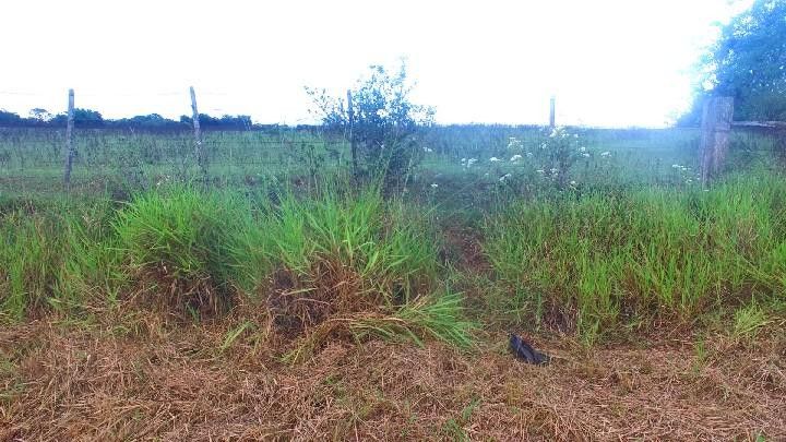 Terreno de 10 ha em Gravataí, RS