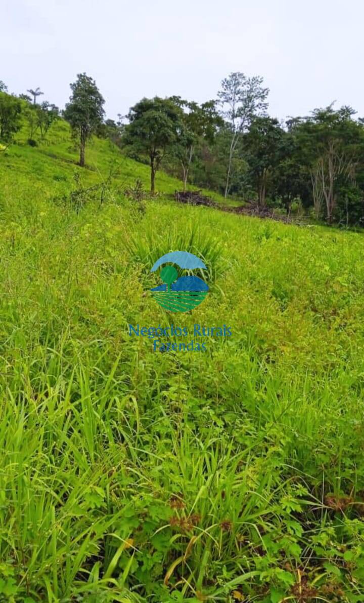 Fazenda de 1.064 ha em São Félix do Xingu, PA