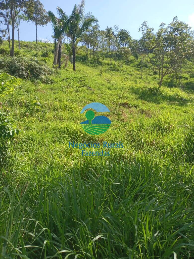 Fazenda de 1.064 ha em São Félix do Xingu, PA