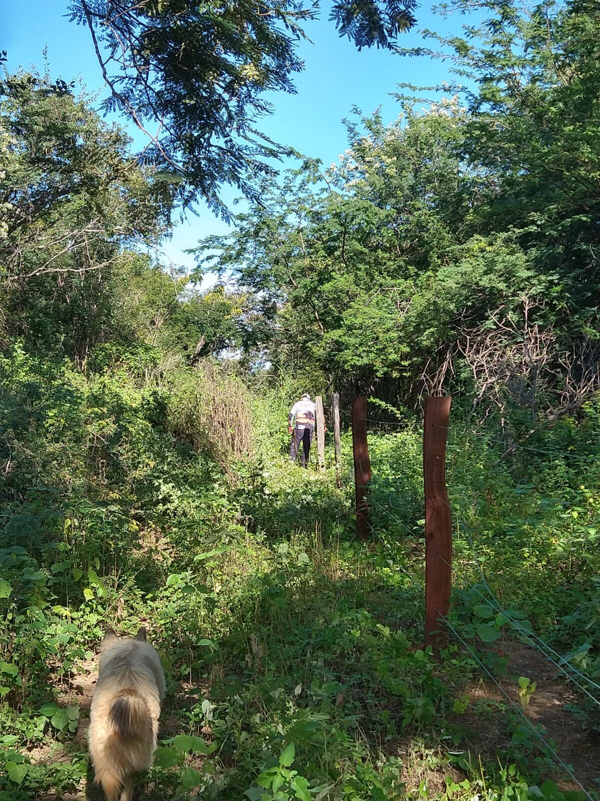 Fazenda de 1.550 ha em Ibotirama, BA