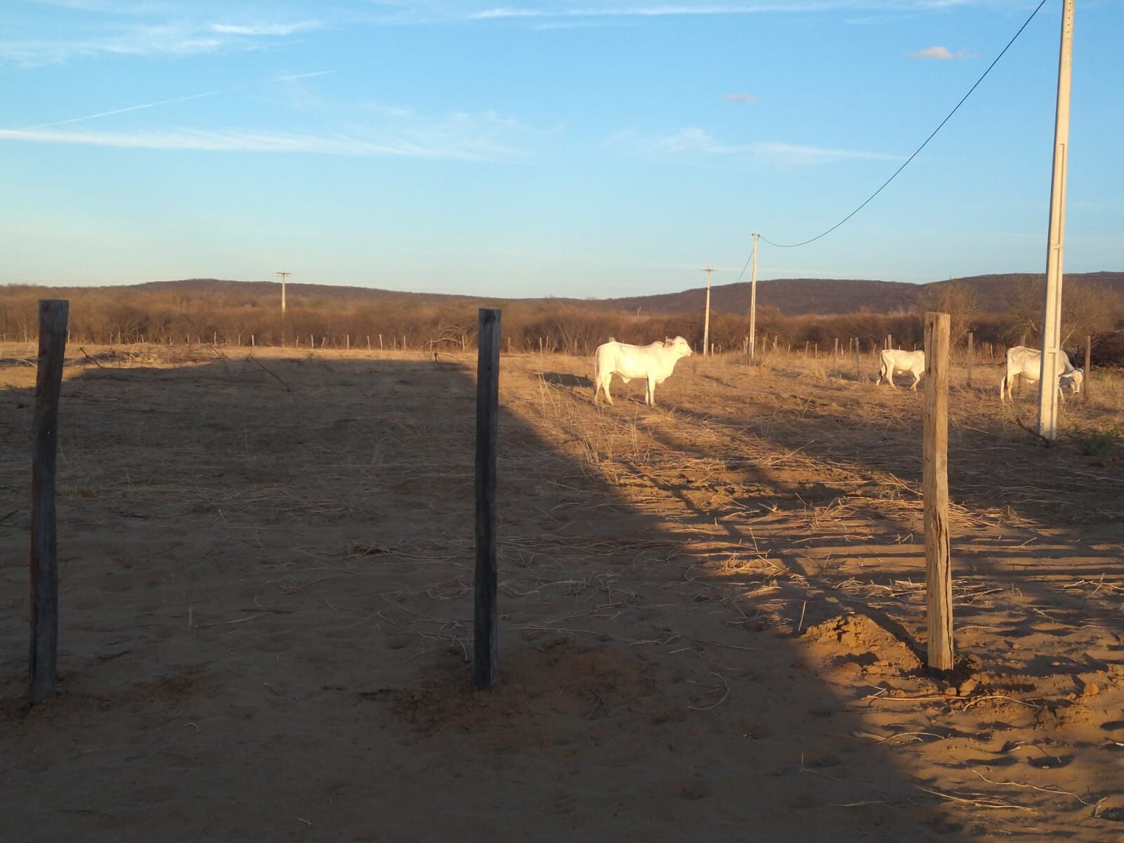 Fazenda de 1.550 ha em Ibotirama, BA